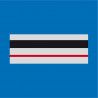 CHEF DE POLICE