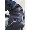 HARNAIS POUR CHIEN