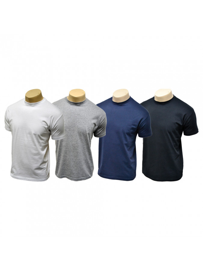 TEE SHIRT FRUIT OF THE LOOM USA