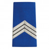 fourreaux d'épaules gardien principal