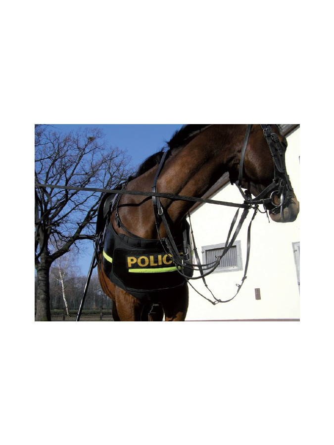 PROTECTION ARRIERE POUR CHEVAUX PROTECTION PATTES (LA PAIRE) 