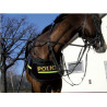 PROTECTION ARRIERE POUR CHEVAUX PROTECTION PATTES (LA PAIRE) 
