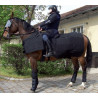 PROTECTION POUR CHEVAUX - PROTECTION NASEAU